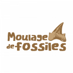 Primaire Moulage de fossiles